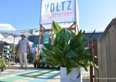 The Voltz Horticulture stand.